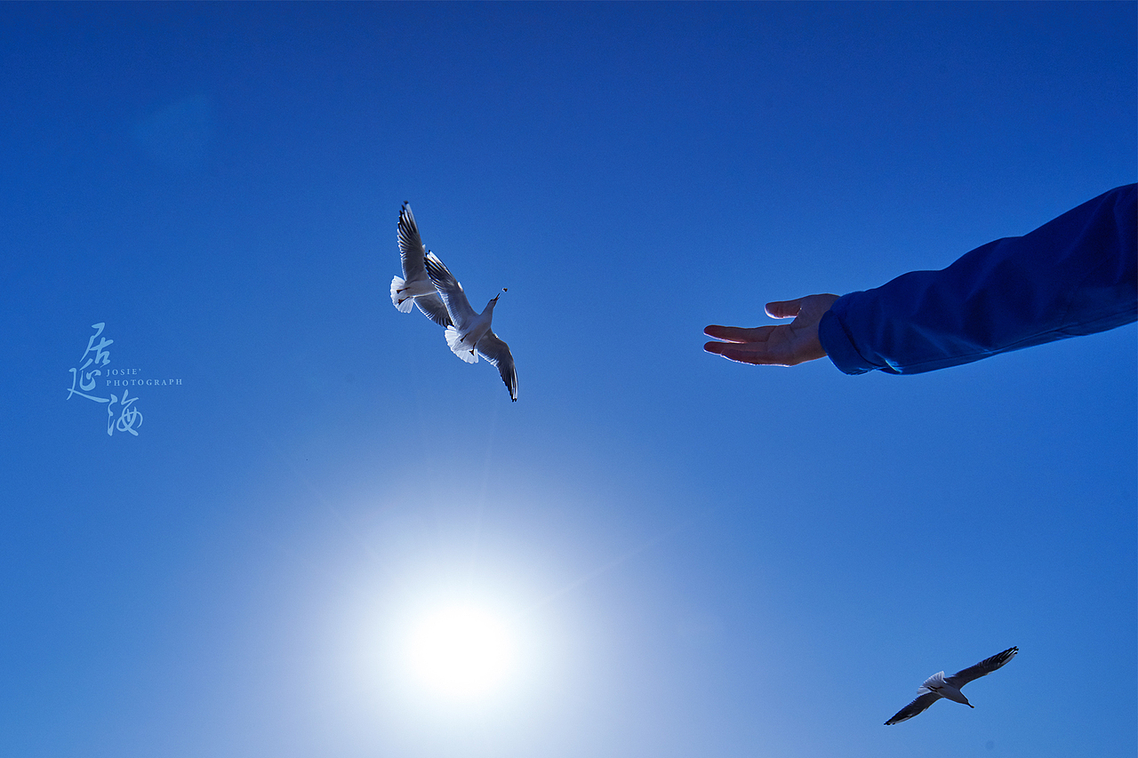 西出阳关 北过居延 行之万里（图ZMzkxODE5NDg=） - 风光摄影 - 站酷设计师晓若xiaoruo原创素材 - 站酷ZCOOL