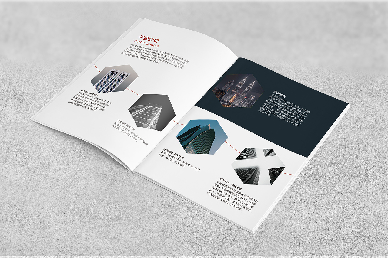 画册设计（图ZMjE4NDc0NzIw） - 书籍/画册 - 站酷设计师蛋蛋泡原创素材 - 站酷ZCOOL