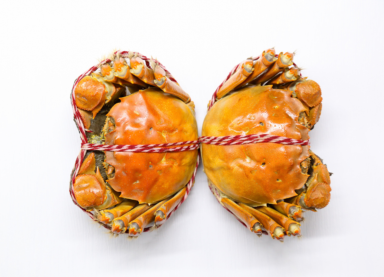 长荡湖大闸蟹拍摄