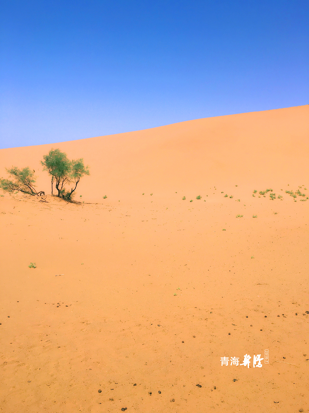 青海—塔尔寺—橡皮山—茶卡盐湖—青海湖—祁连山草原—大冬树山垭口—明乐扁都口—张掖丹霞—中卫沙坡头