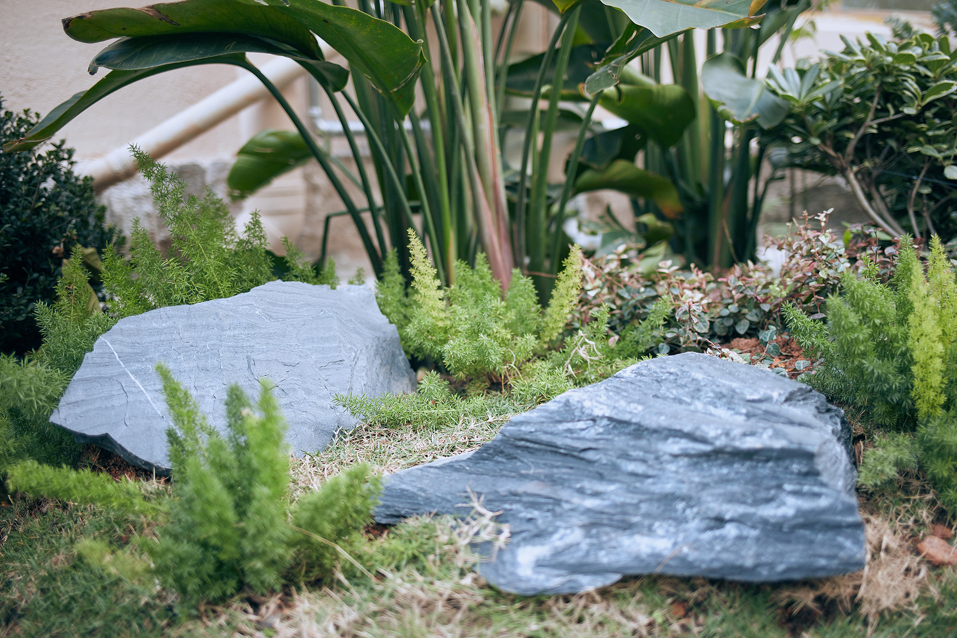 桂景园景观园林摄影 绿植庭院拍摄 深圳户外花园拍照