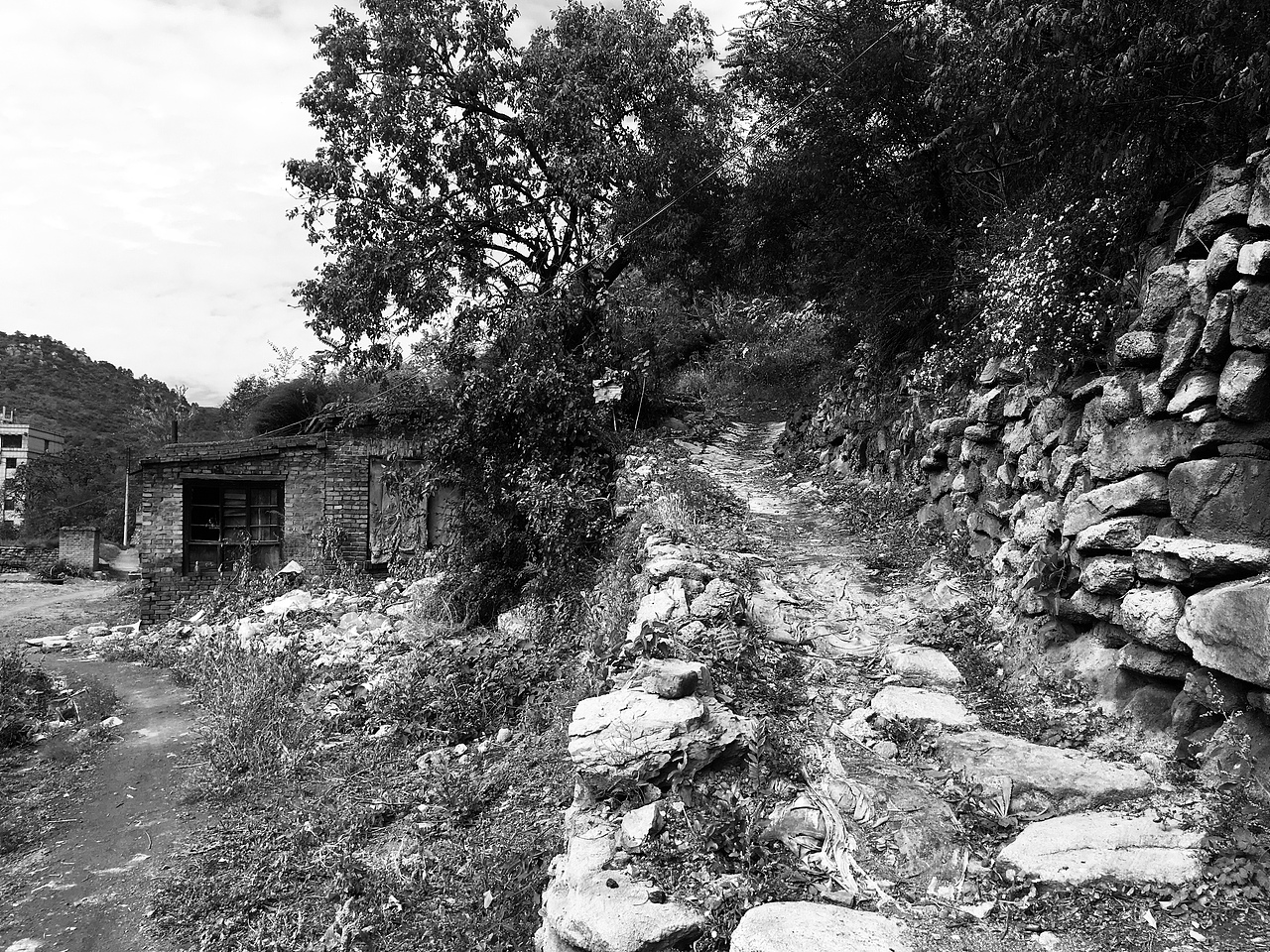 毕业设计：乡村改造计划