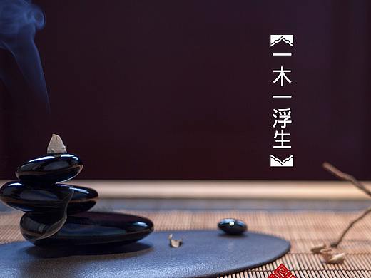 东阳木雕概念vi设计