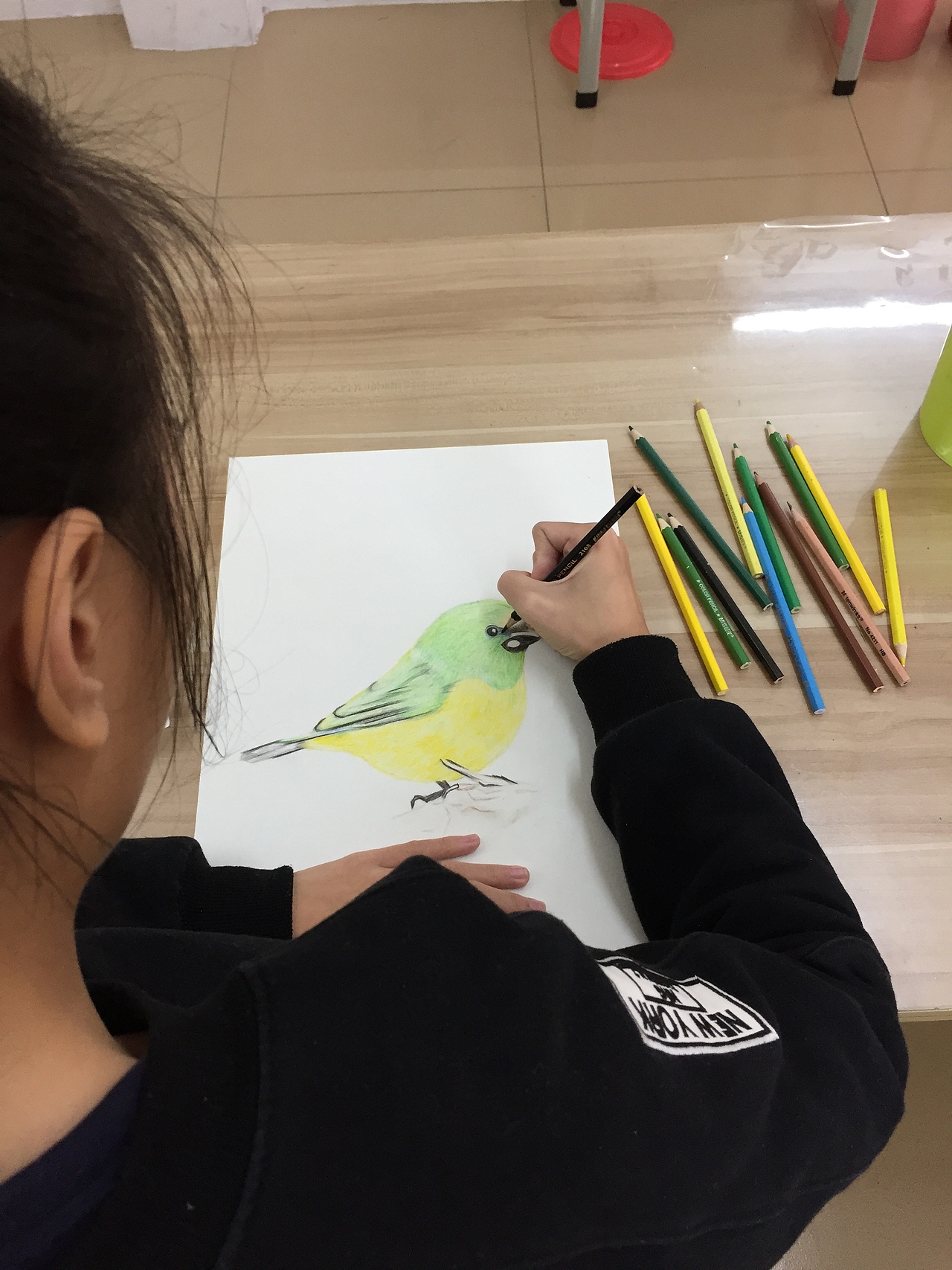 这是一位初中的女孩;非常细心,也有一定的天赋,对彩铅可以说是一碰就会,O(∩_∩)O哈哈~