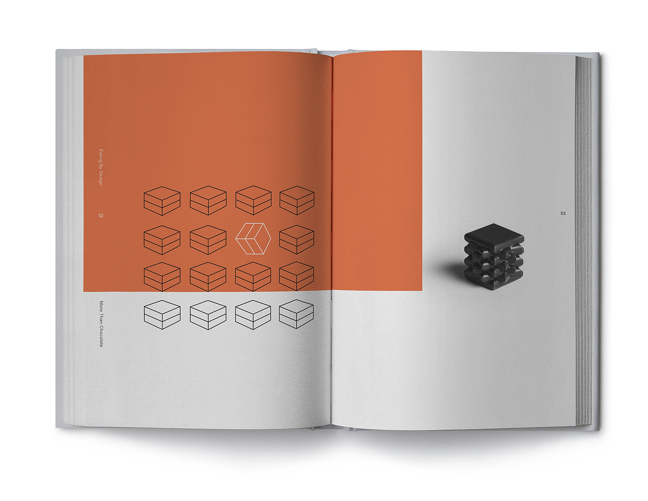 大脸设计--书籍--版式设计