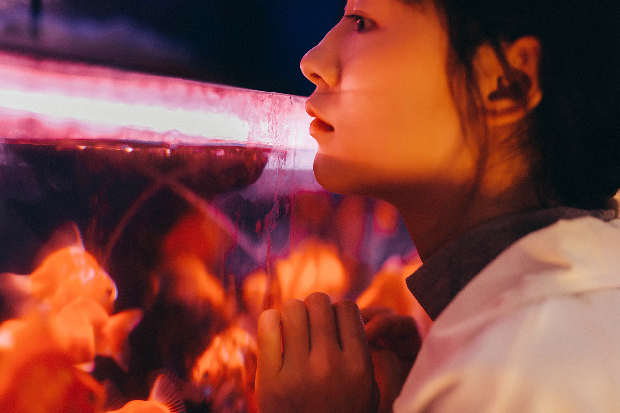 幕其静谧,厌其孤艳