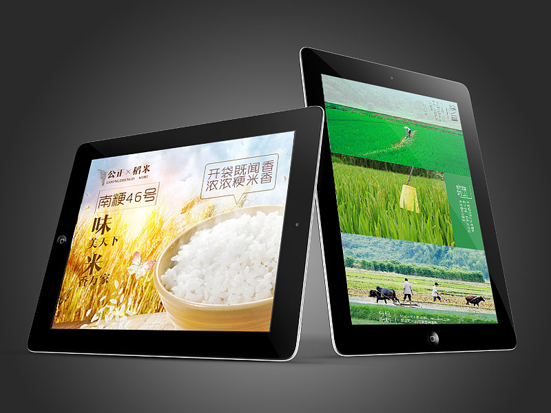 南粳46号大米详情页制作