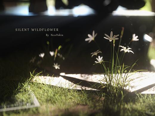 SILENT FOREST