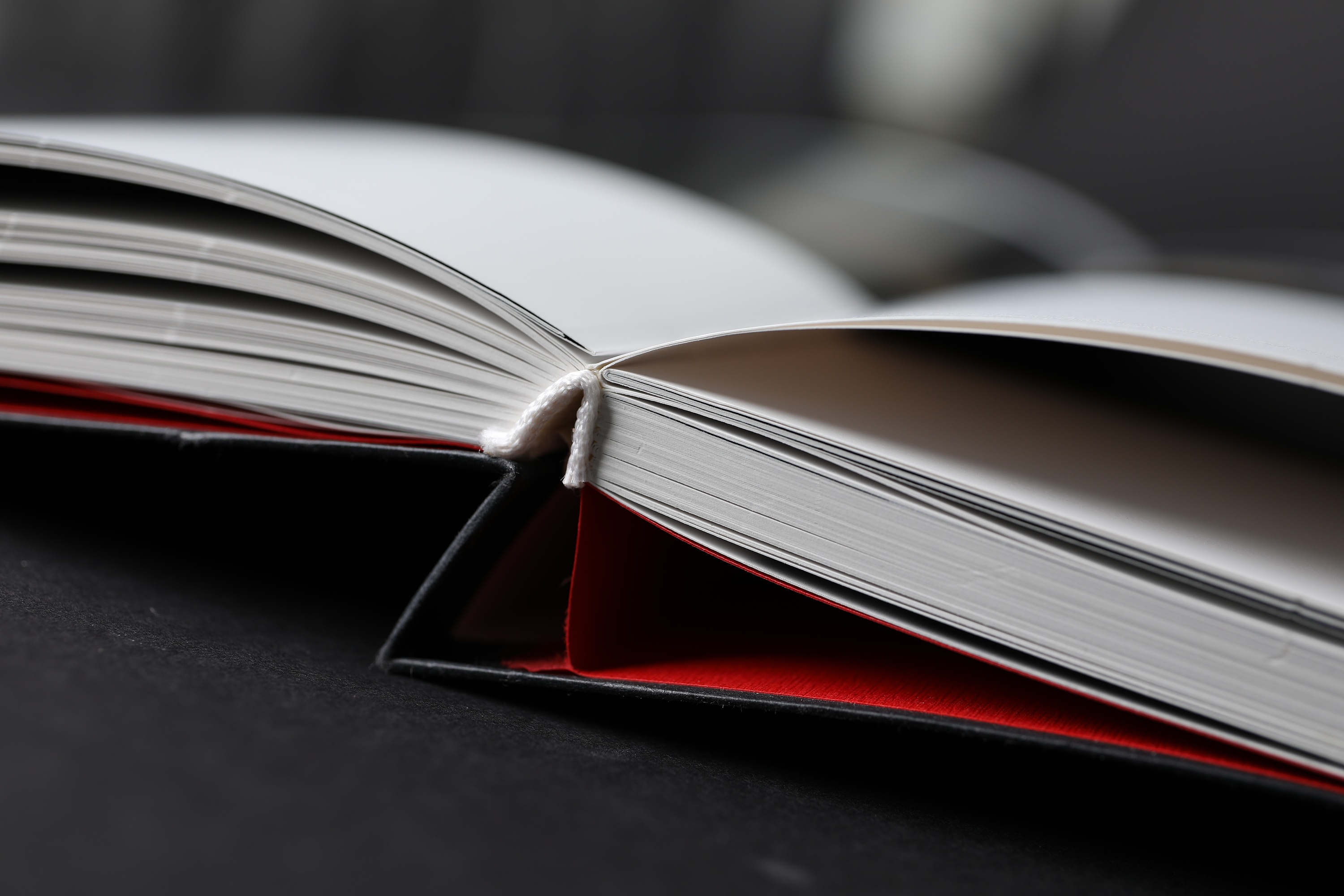 软精装画册:油画作品集《前世的野草》