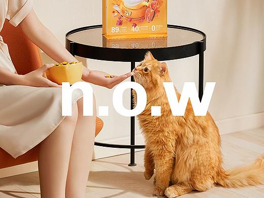 宠物用品｜富善猫粮 X 当下视觉