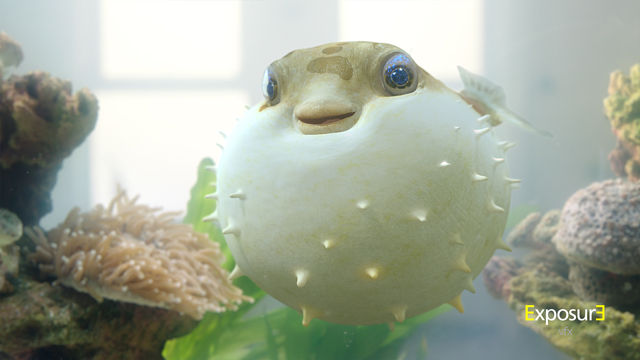 萌翻你的小河豚-thinkpad s1 yoga tvc《启蒙&较劲篇》