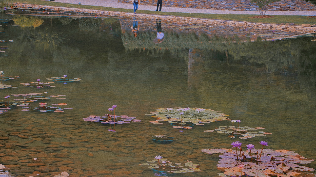 上海辰山植物园