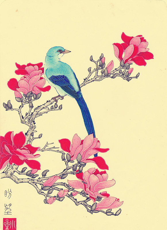 五，木棉花鸟图