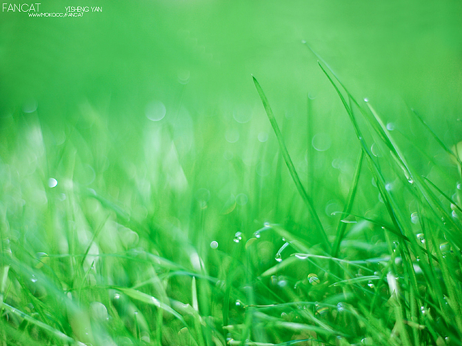 我的快门日记-陆[2011-2012]/散片整理（图ZODE0MjA0OA==） - 其他摄影 - 站酷设计师亦生FANcat原创素材 - 站酷ZCOOL