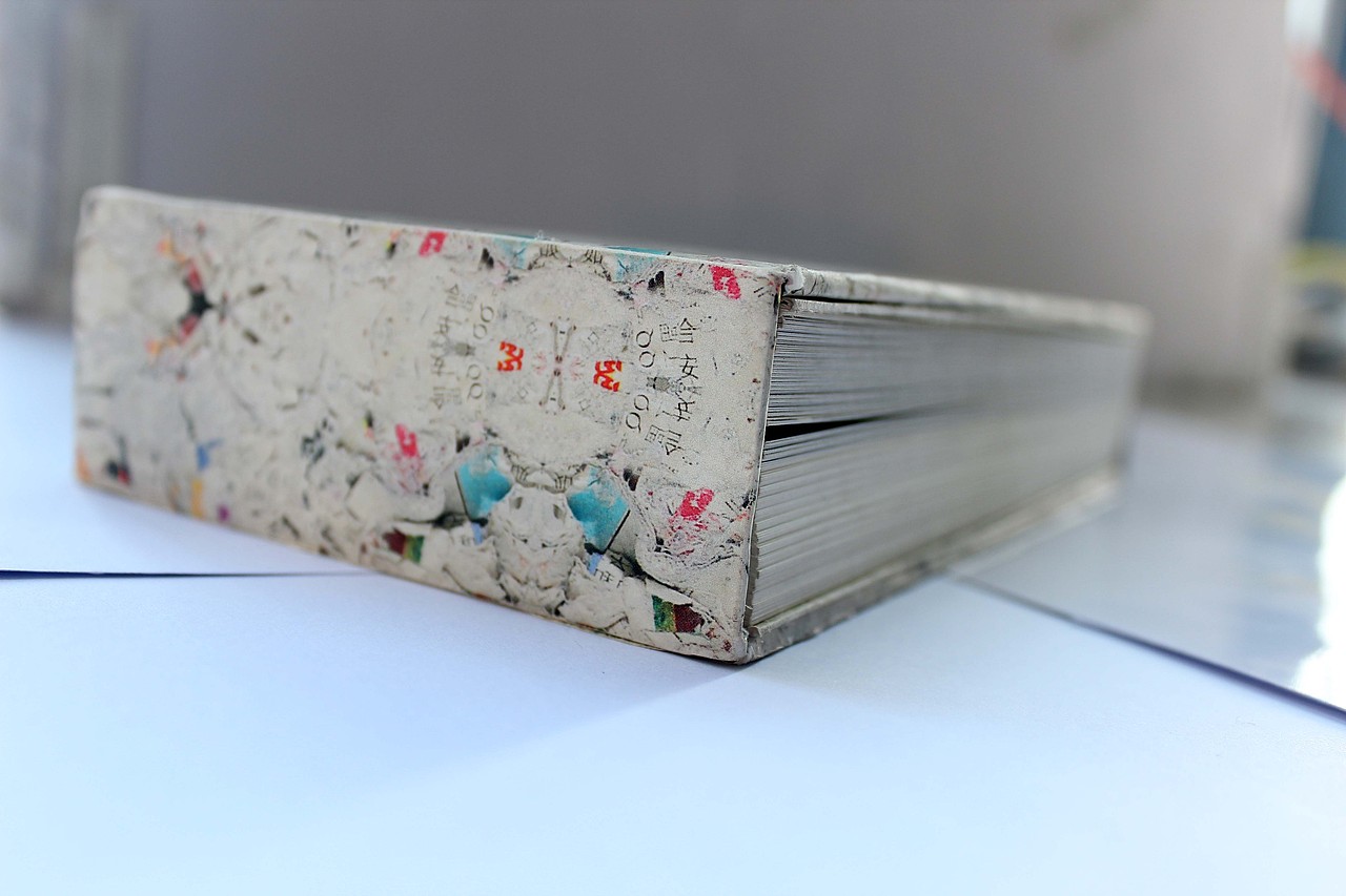 书籍单行本《累(lěi)》