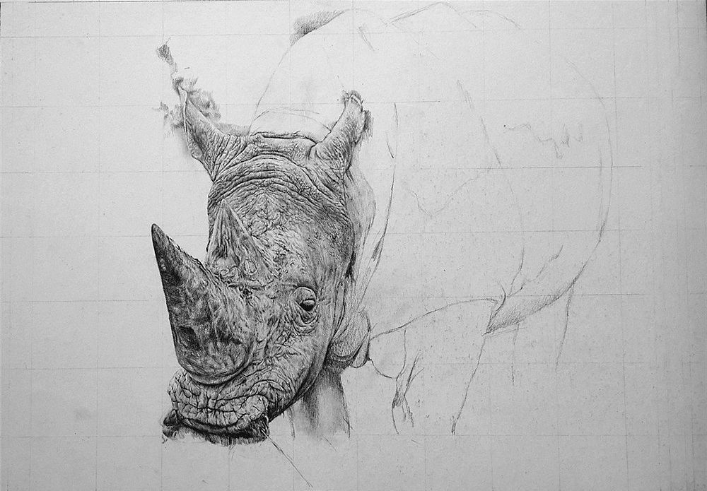 王抽风50小时写实作品《犀牛》作画步骤