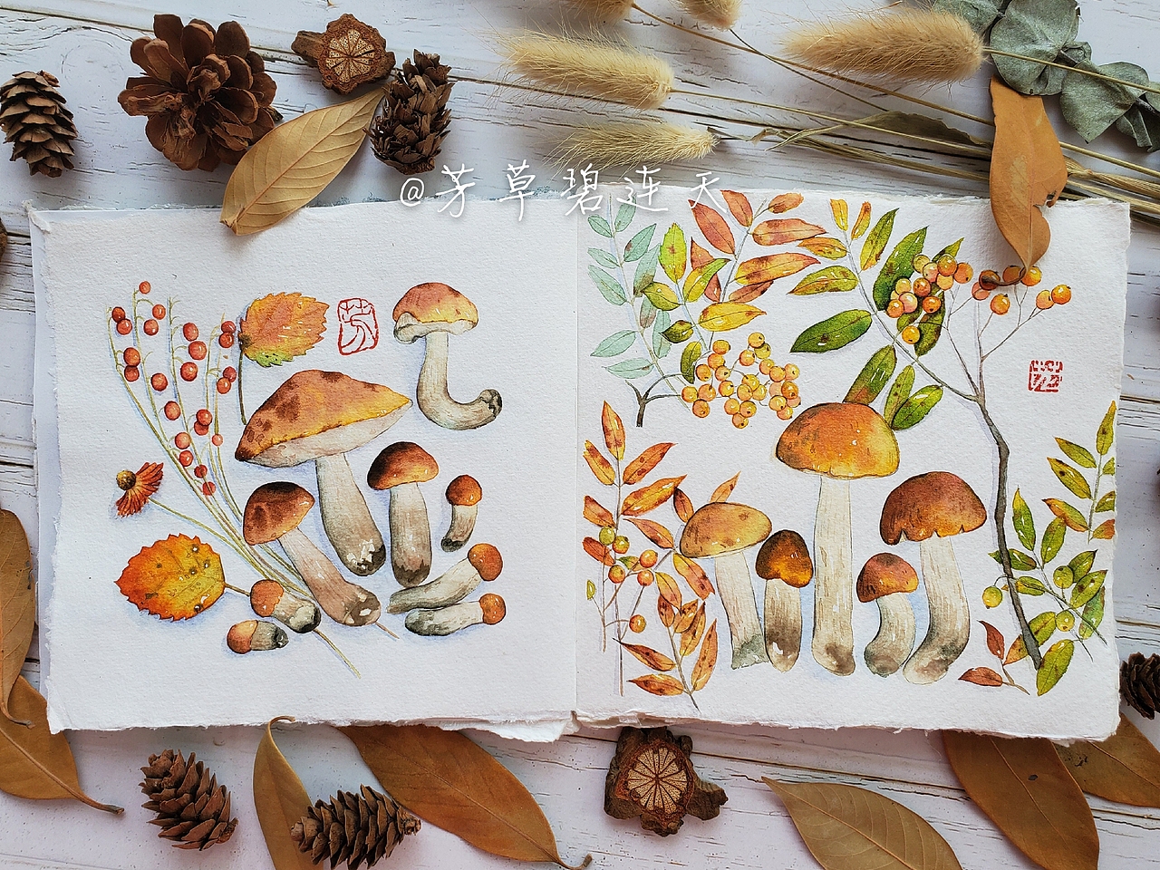 水彩風(fēng)景秋日果實(shí)蘑菇樹葉手繪視頻過程 芳草碧連天（圖ZMjAwNjg5MzI0） - 繪畫 - 站酷設(shè)計(jì)師芳草碧連天水彩原創(chuàng)素材 - 站酷ZCOOL