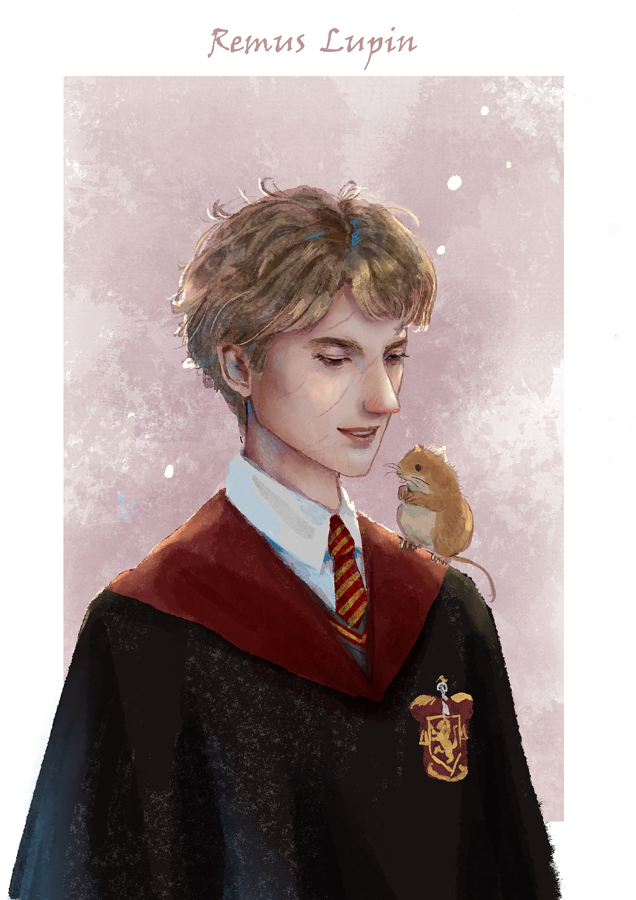 哈利波特亲世代人设图