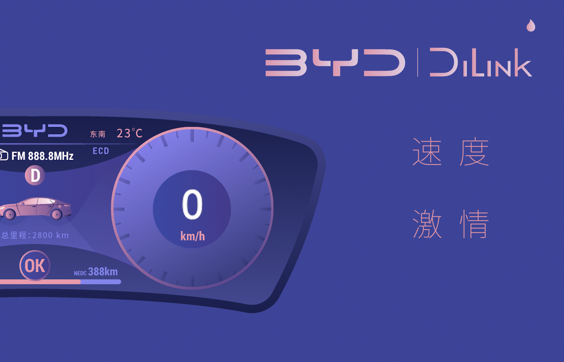 无畏无界~动感紫