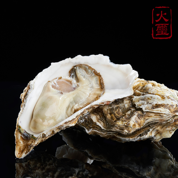 banner文字圖形排版