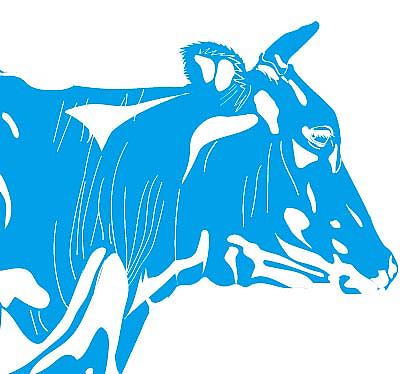 牛（图ZMTIwMDMzODQw） - 图案 - 站酷设计师阿苏图原创素材 - 站酷ZCOOL