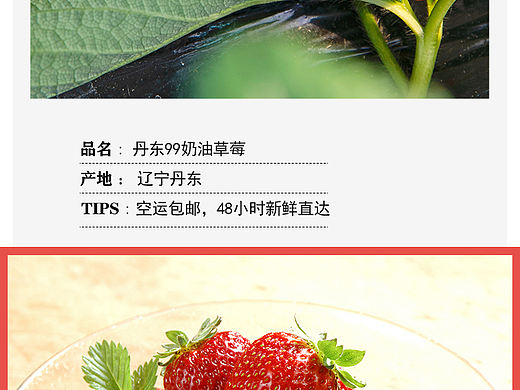草莓（個(gè)人主頁(yè)-ZNTkwNTQwODQ=） - 包裝 - 站酷設(shè)計(jì)師吳洋123原創(chuàng)素材 - 站酷ZCOOL