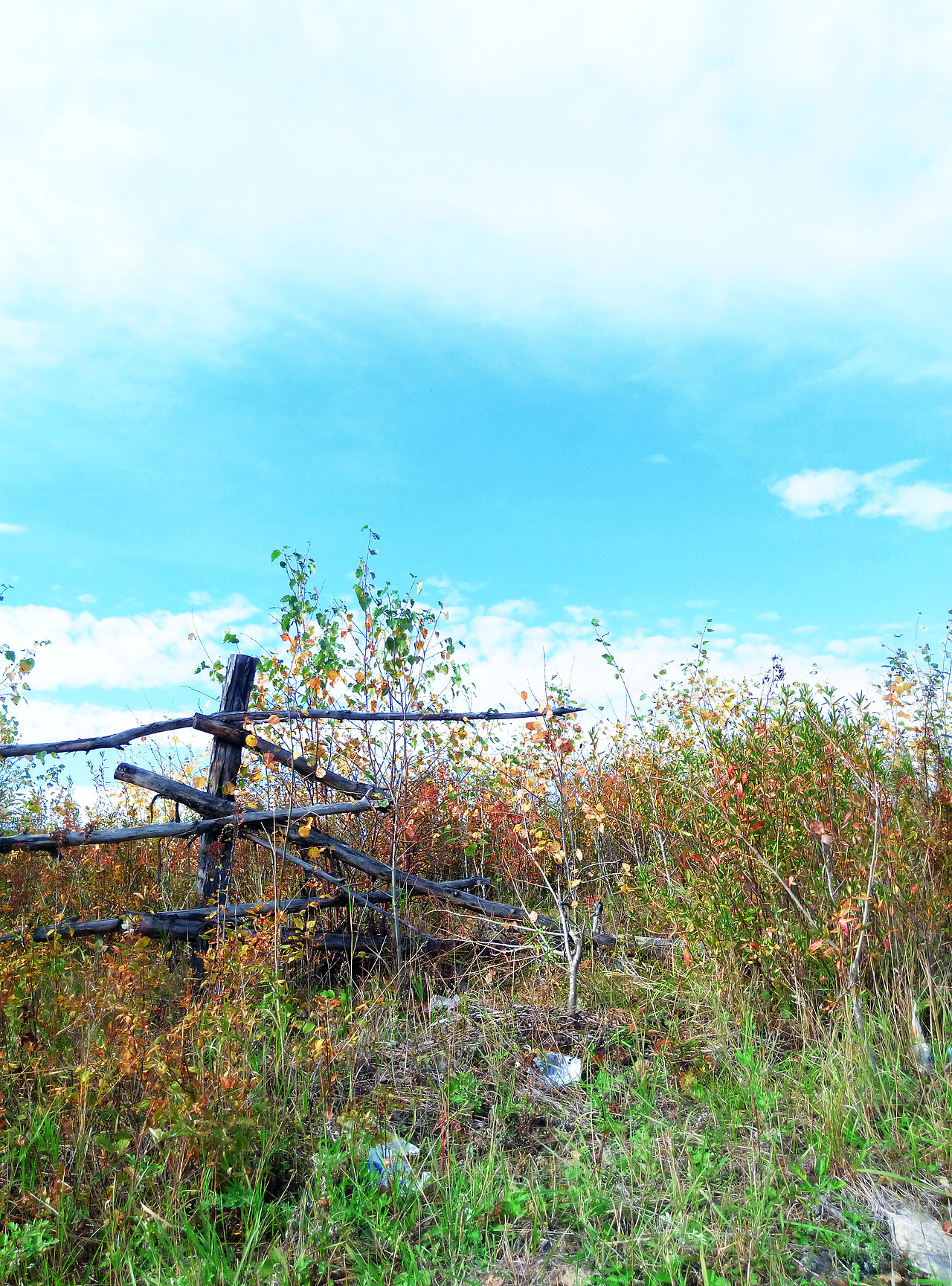 荒废的田地，破烂的栅栏