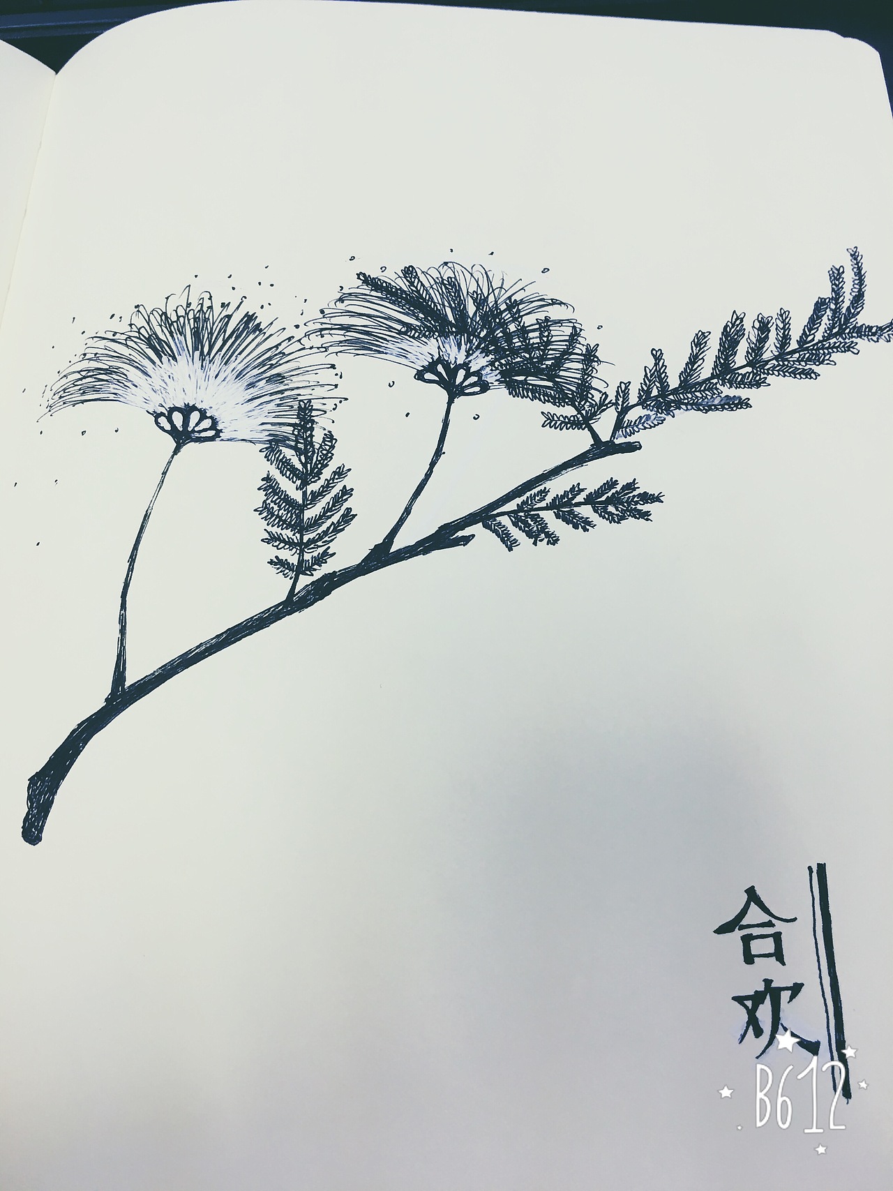 原创临摹都有，乱涂乱画练习中