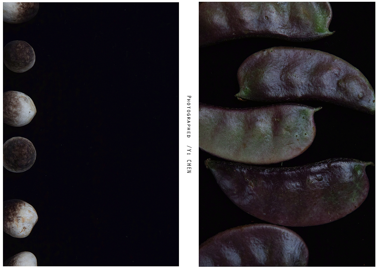 物 | 静止的时间