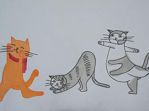 猫咪
