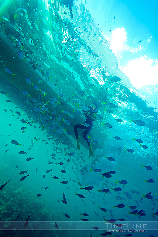 在上帝的水族箱飞翔 [Part1]（图ZMTIzMzg1MjQ=） - 人像摄影 - 站酷设计师TimeLine_季冠廷原创素材 - 站酷ZCOOL