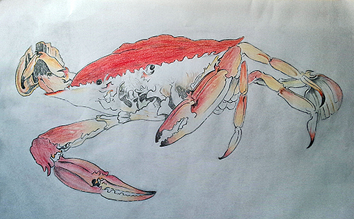 彩鉛（圖ZMTg1NTY5MTcy） - 創(chuàng)作習作 - 站酷設(shè)計師24NANA原創(chuàng)素材 - 站酷ZCOOL