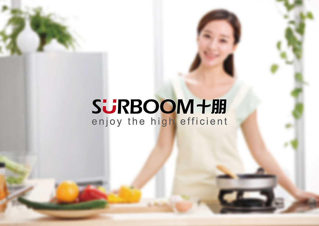 surboom集成灶/logo（图ZNDE4MTIyMTY=） - Logo - 站酷设计师chao1124原创素材 - 站酷ZCOOL