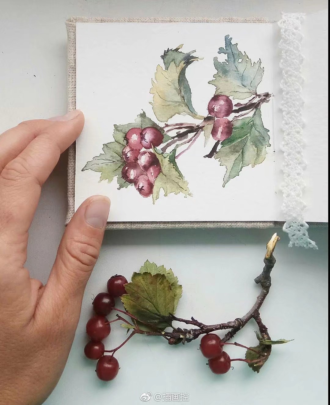 清新手绘（图ZMTI5Mjc0NTQw） - 艺术插画 - 站酷设计师一只虎斑喵呀原创素材 - 站酷ZCOOL