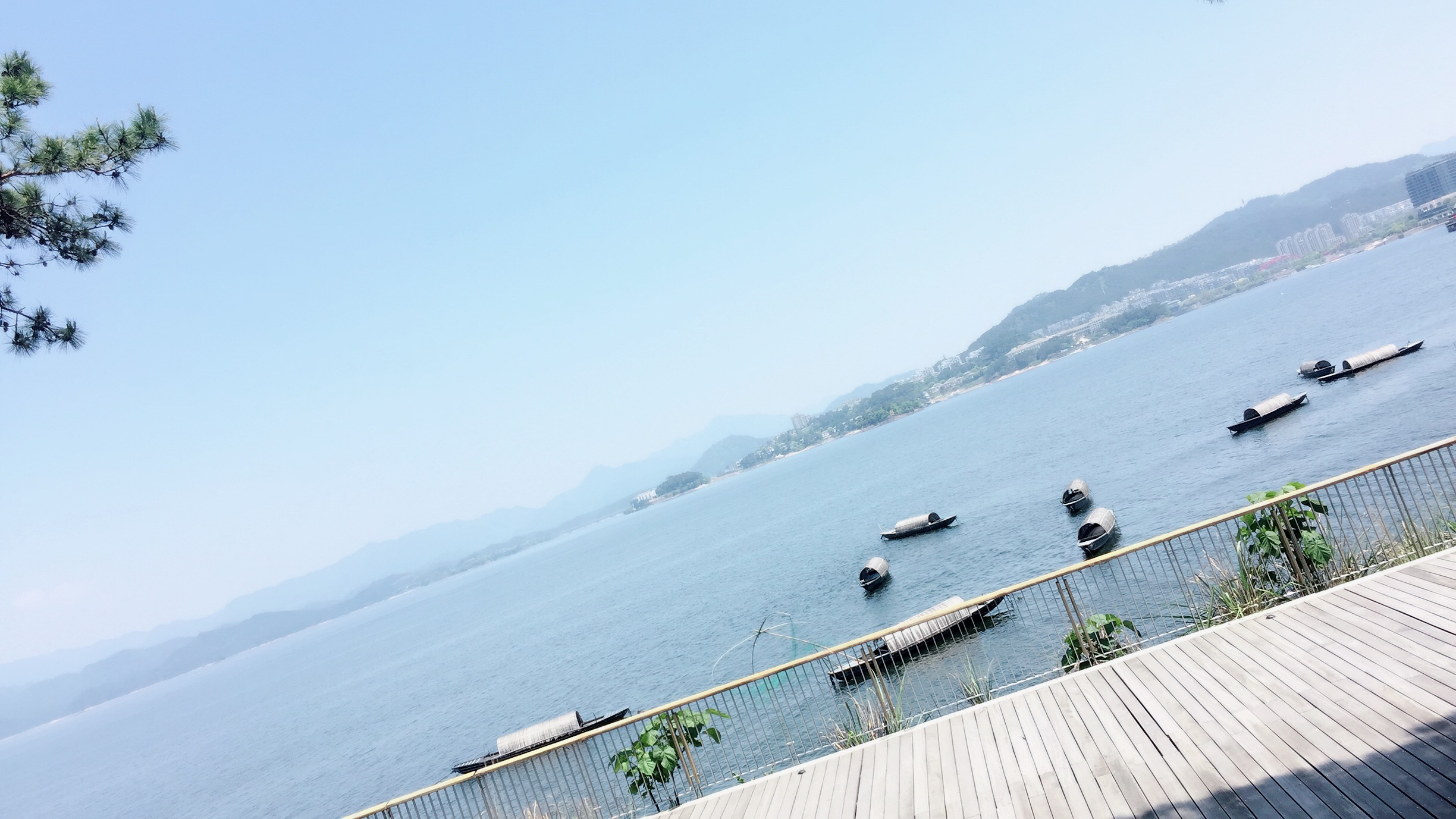 Chic_TT的个人主页（封面预览） - 主页封面设置 - 站酷设计师Chic_TT原创素材 - 站酷ZCOOL