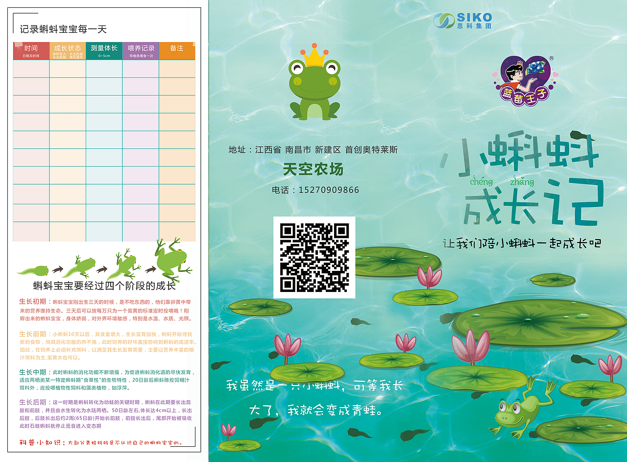 蝌蚪节三折页