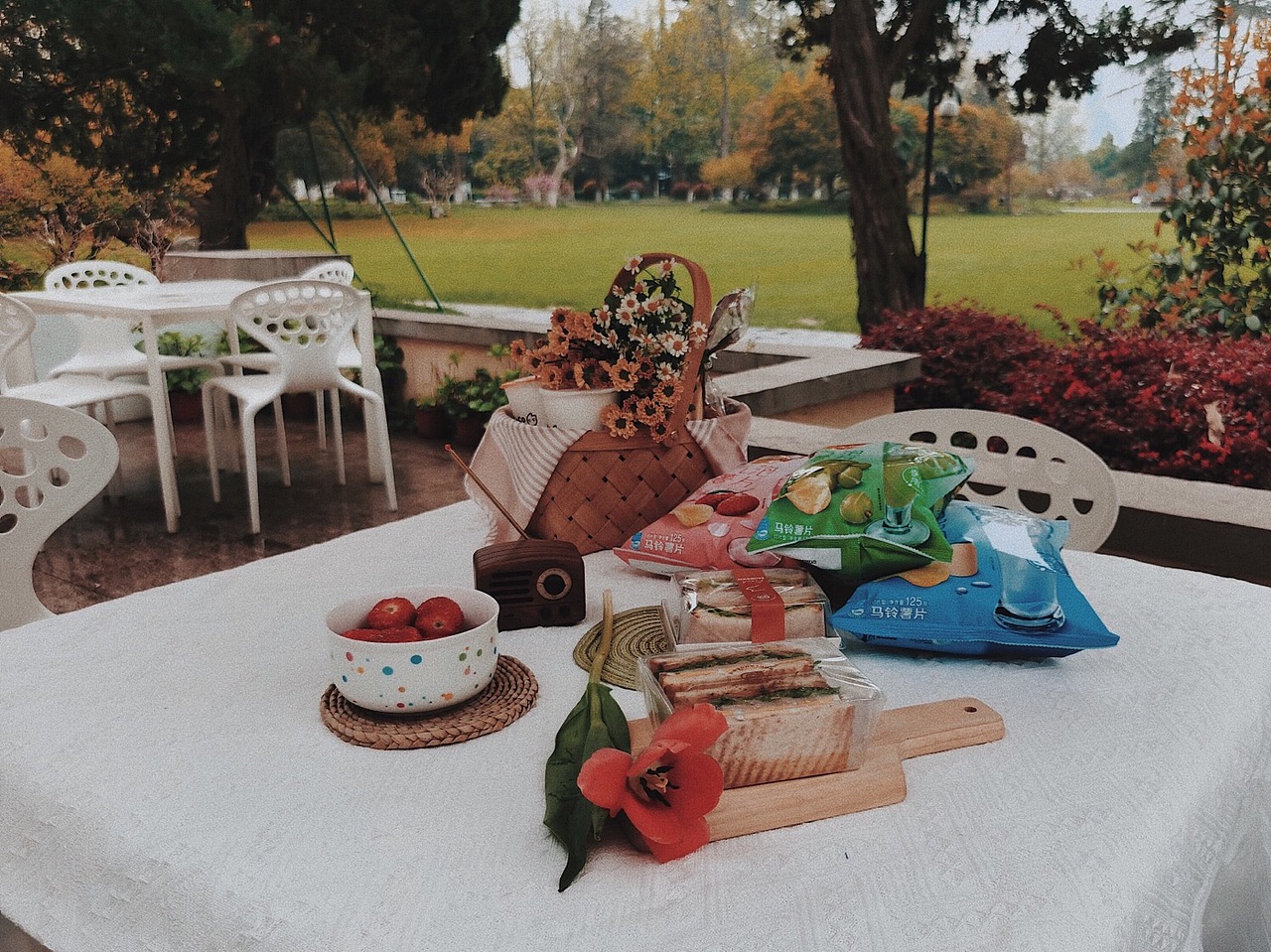 每日一画（图ZMjAyMjE1OTg0） - 艺术插画 - 站酷设计师AMENGA原创素材 - 站酷ZCOOL