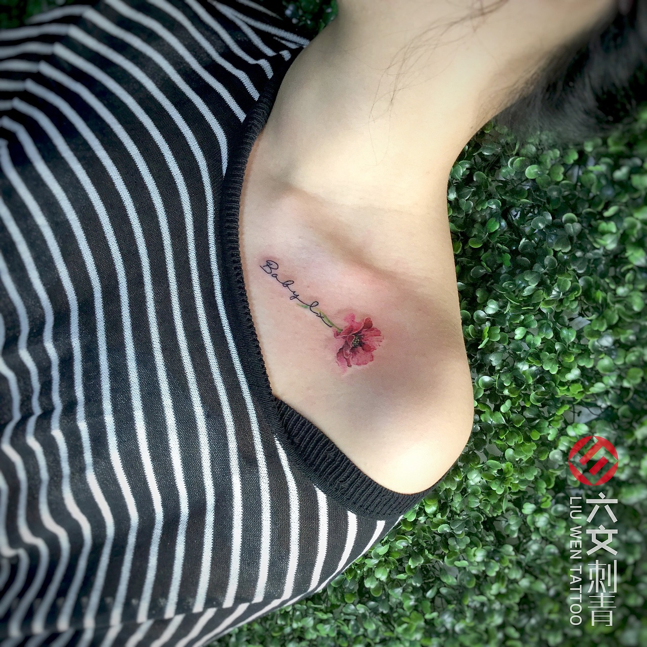 北京纹身小清新纹身锁骨纹身玫瑰纹身罂粟纹身