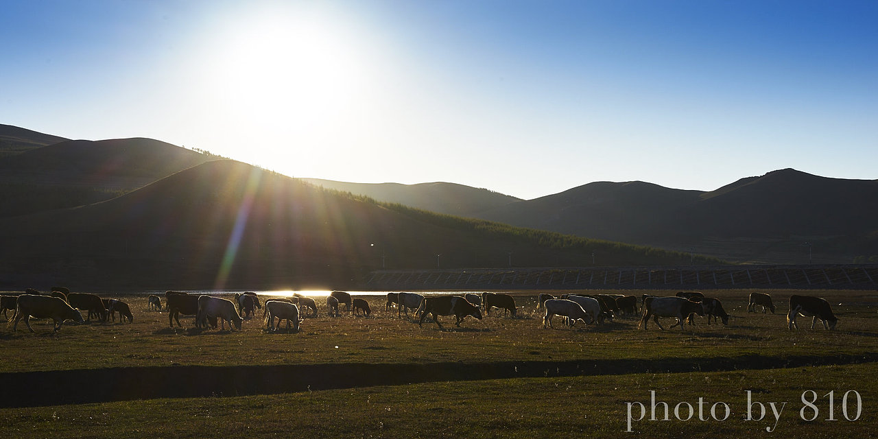 传奇庄园（图ZODkyMTQ4MzI=） - 建筑设计 - 站酷设计师高端酒店设计公司原创素材 - 站酷ZCOOL