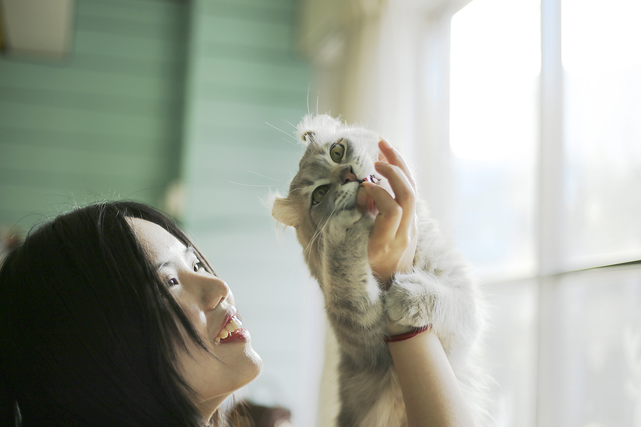 唯美食与猫不可辜负