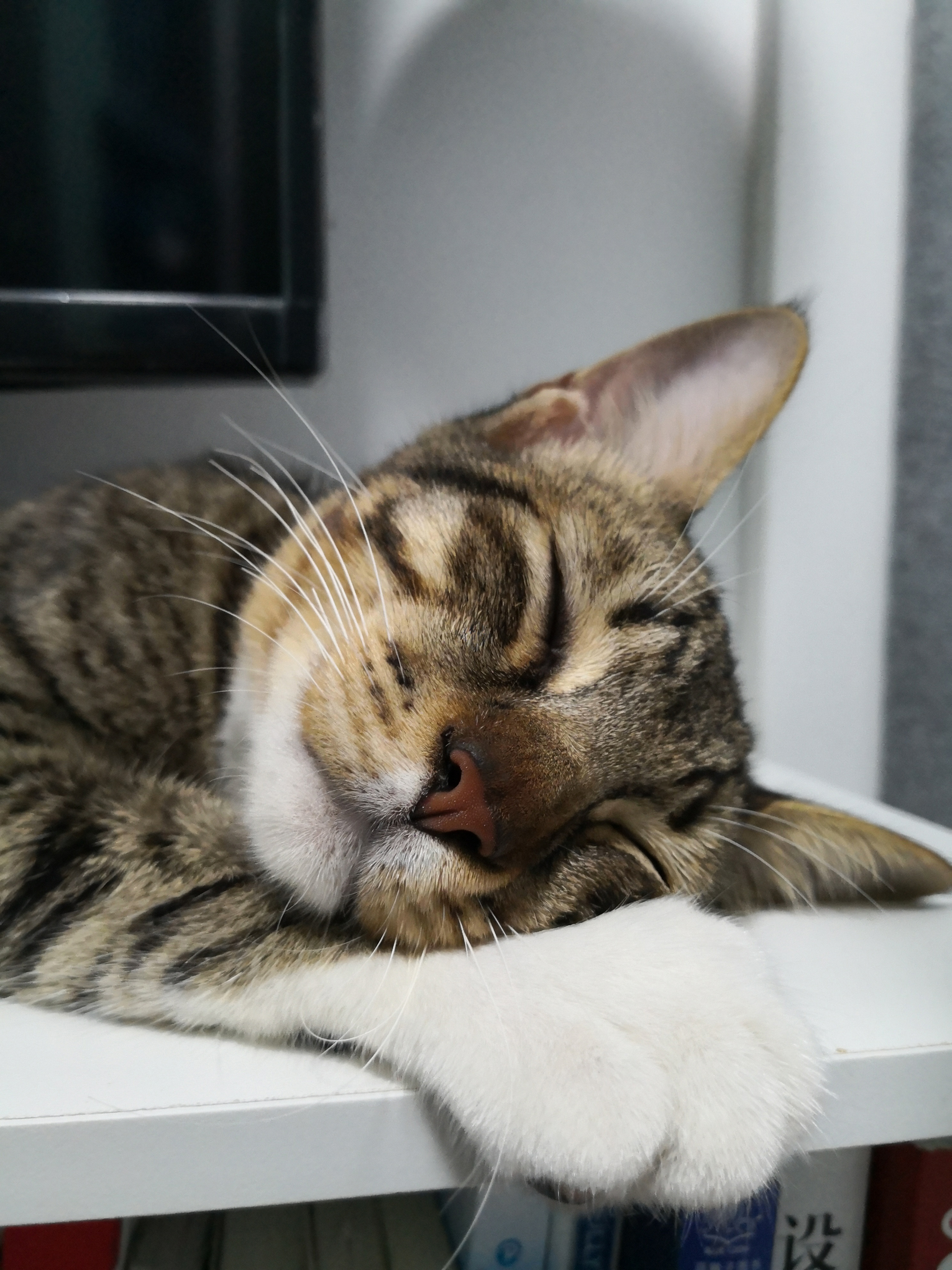 誒哇的個(gè)人主頁(yè)（封面預(yù)覽） - 主頁(yè)封面設(shè)置 - 站酷設(shè)計(jì)師誒哇原創(chuàng)素材 - 站酷ZCOOL