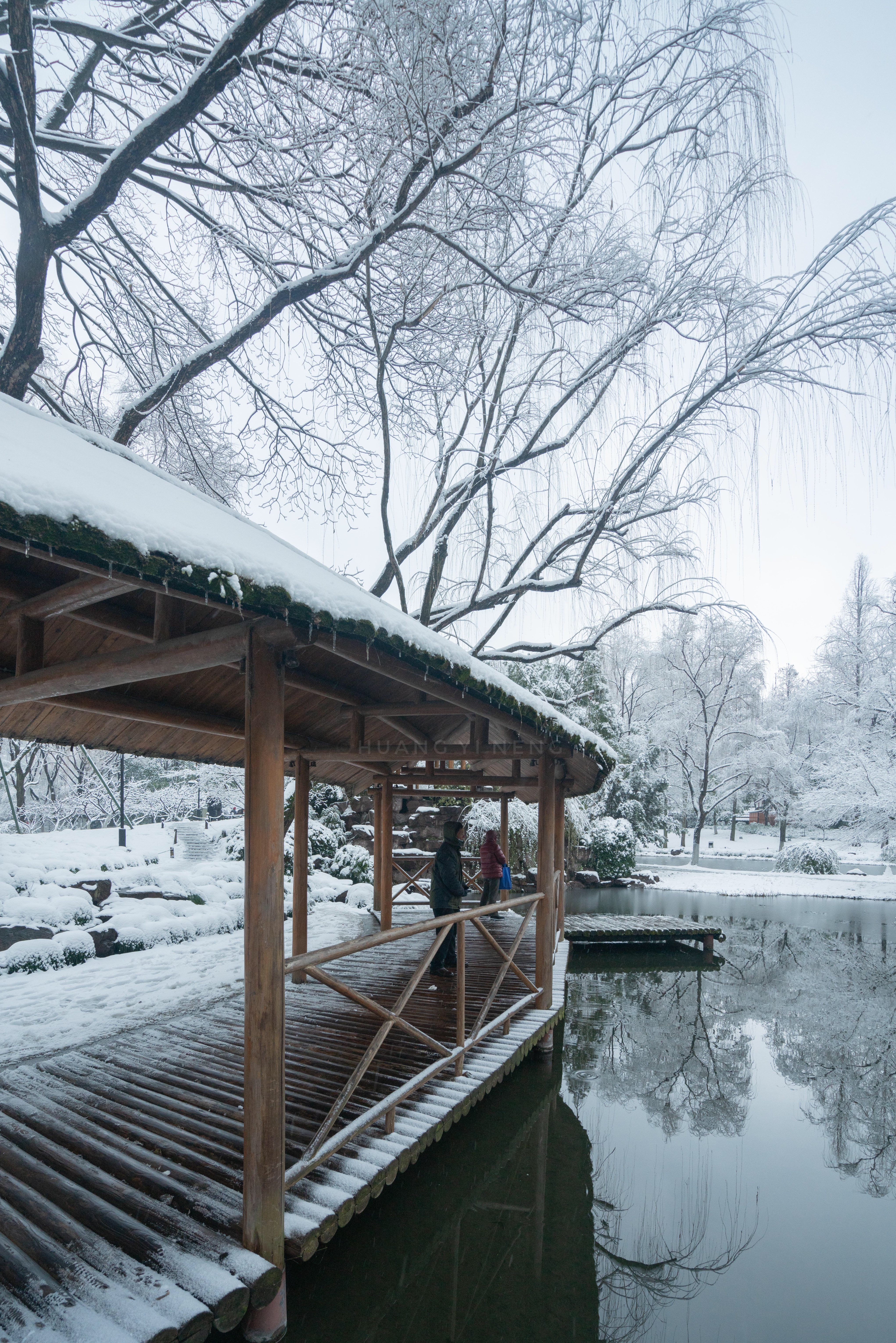 2022杭州雪景生活真实图片