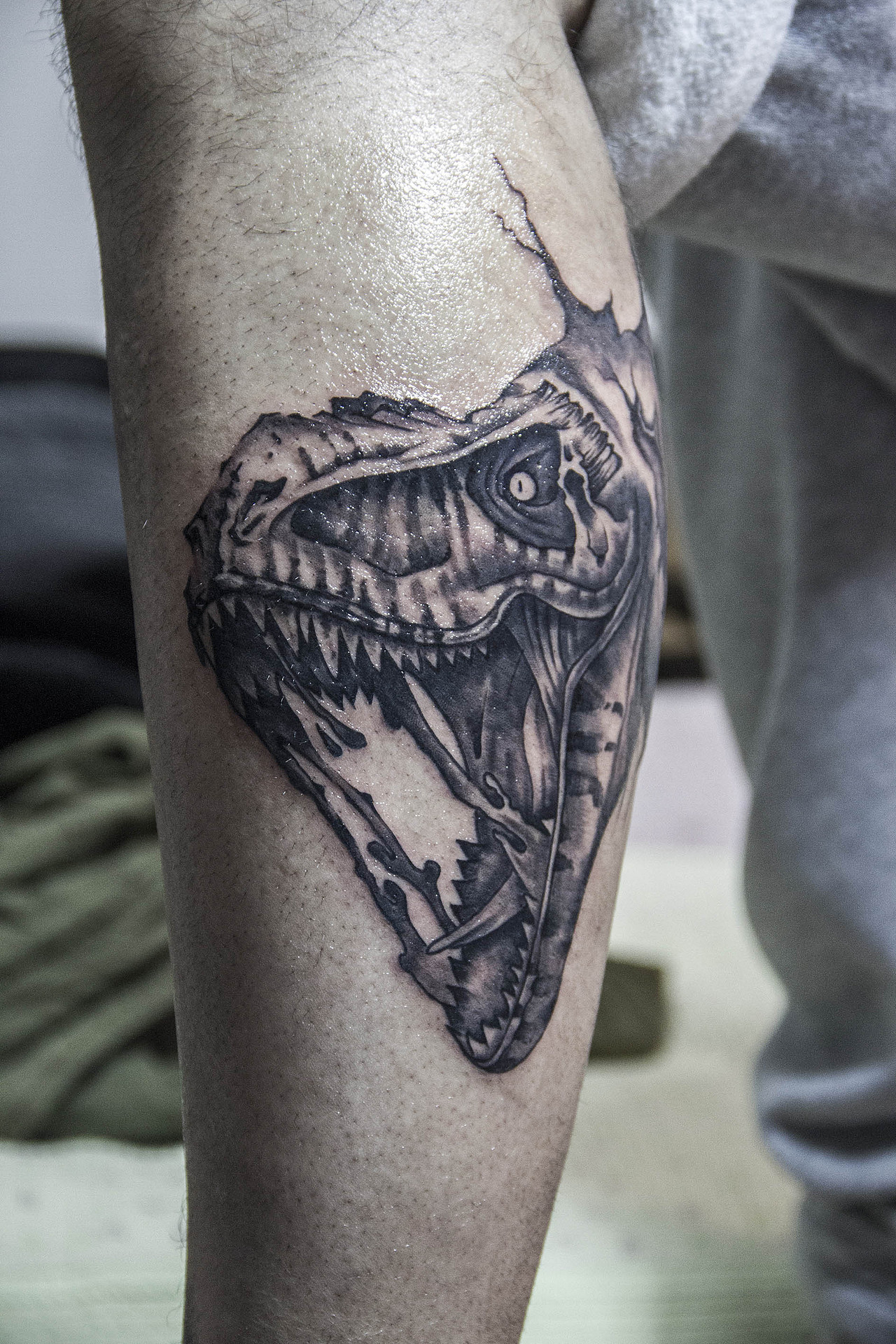 霸王龙纹身上海/平面设计师/7年前/586浏览devilcat