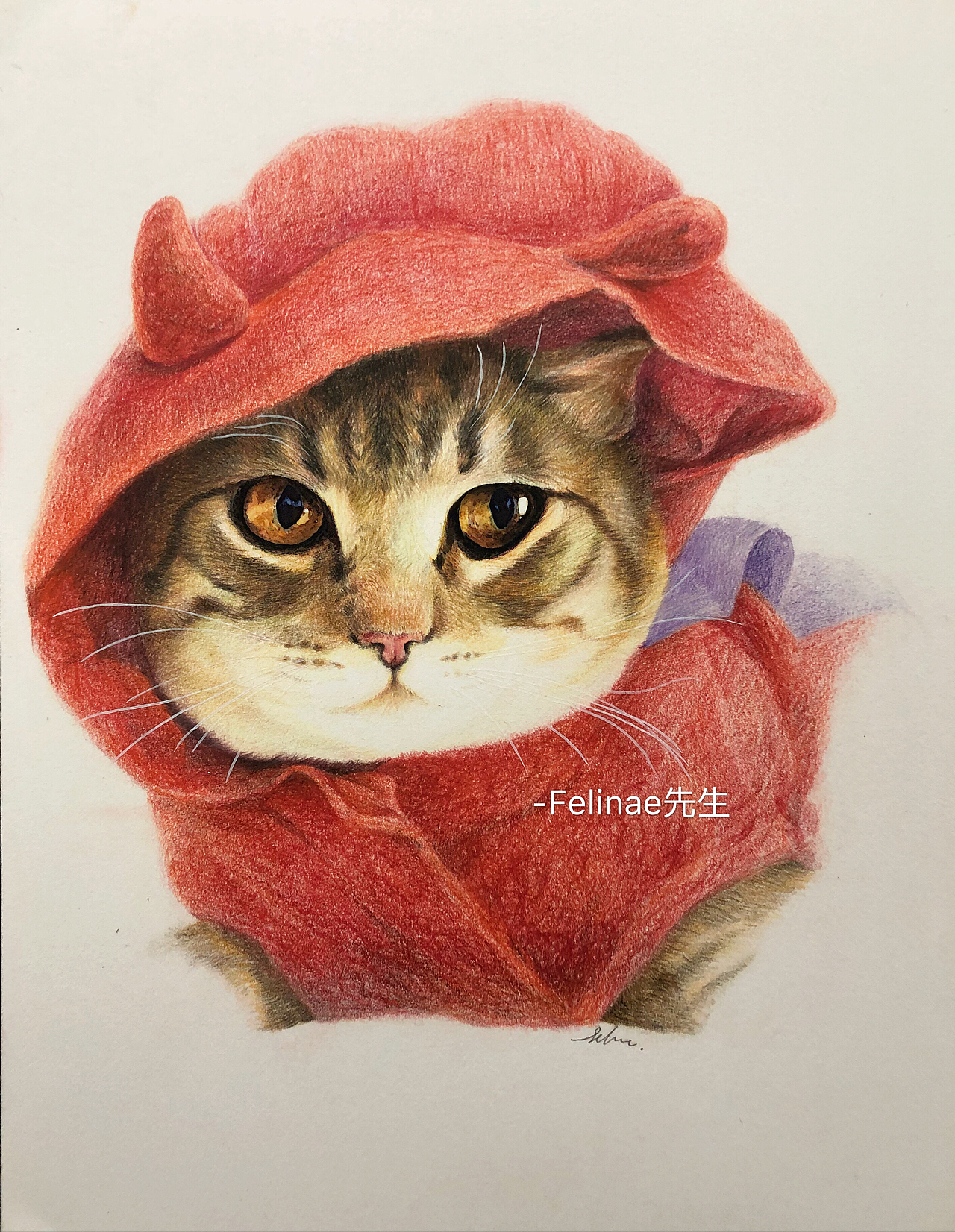 彩铅猫里的猫（图ZMTE0ODA0MTg4） - 绘画 - 站酷设计师Felinae先生原创素材 - 站酷ZCOOL