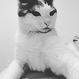 FLoyah的头像