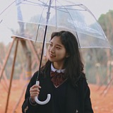 愚安安的头像
