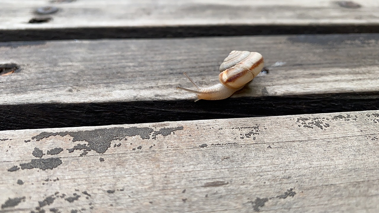 生活小照（圖ZMjU2NTc5MTUy） - 人文/紀(jì)實(shí)攝影 - 站酷設(shè)計(jì)師蘑菇mm原創(chuàng)素材 - 站酷ZCOOL