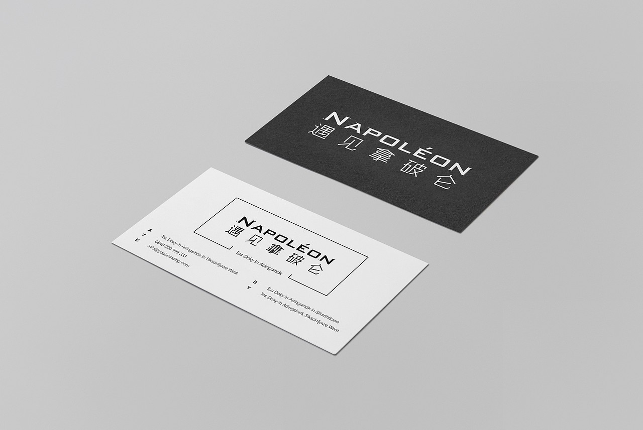 遇见拿破仑VI设计