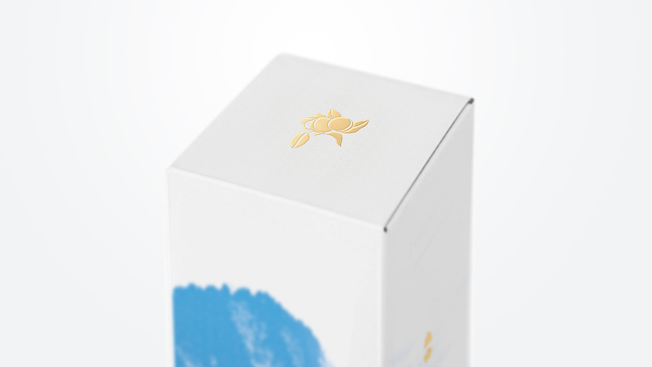 梅见——西岭梅酒（图ZMjgwMTcxNzg0） - 包装 - 站酷设计师妙手空空儿原创素材 - 站酷ZCOOL