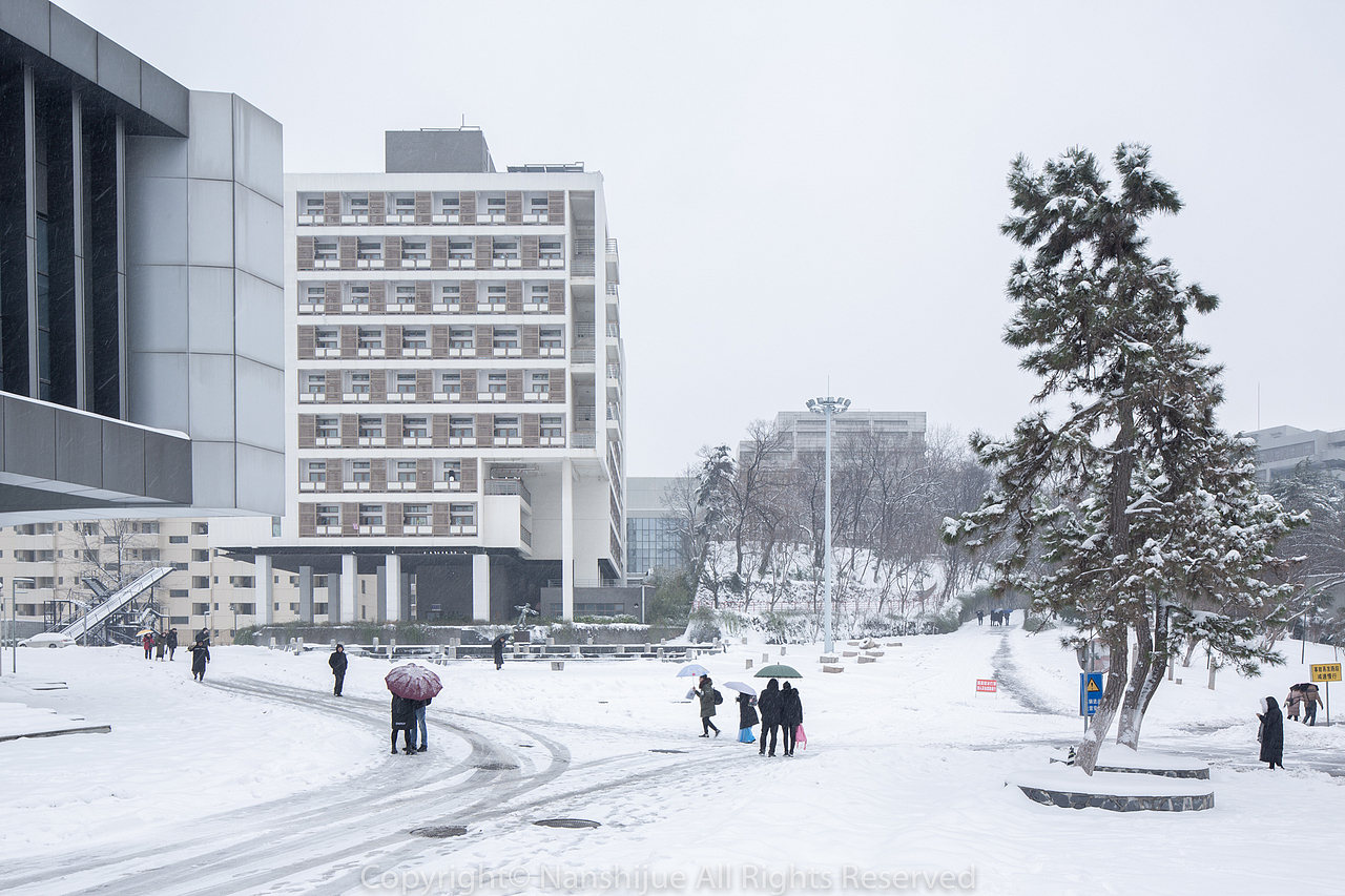南京艺术学院冬天雪景|大学校园建筑景观摄影作品|金陵